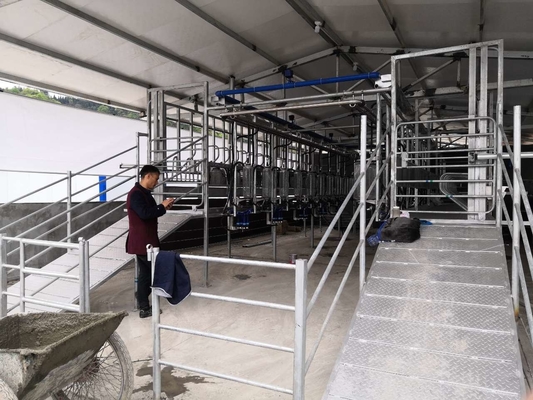 Tempat Pemerahan Susu Kambing Herringbone SUS304 yang Dapat Disesuaikan